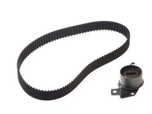 Zestaw paska rozrządu 530 0302 10