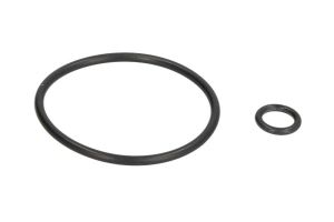 Zestaw naprawczy pompy paliwa AJU77012600