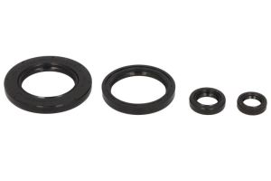 Komplet uszczelniaczy silnika P400210400282