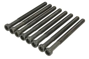 Zestaw śrub głowicy cylindrów AJU81051100