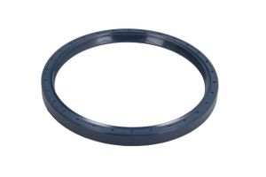 Uszczelniacz piasty koła CO12013359B