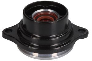 Dławica przekładni dolnej F2.6-03000300