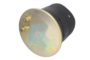 Miech zawieszenia pneumatycznego 4878N1P01