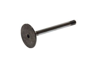 Zawór ssący 4643/SCR