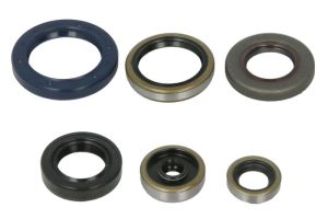 Komplet uszczelniaczy silnika P400270400088