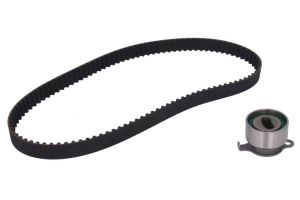 Zestaw paska rozrządu 530 0310 10