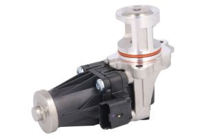 Zawór EGR EGE5-A061           93980