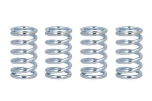 Zestaw sprężyn sprzęgła FSS0304