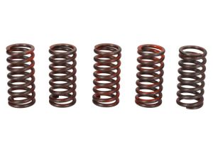 Zestaw sprężyn sprzęgła MEF317-5