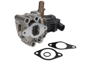 Zawór EGR 7.24809.86.0