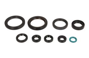 Komplet uszczelniaczy silnika P400210400317