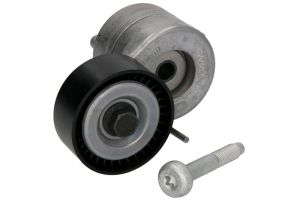 Napinacz paska wieloklinowego 534 0607 10