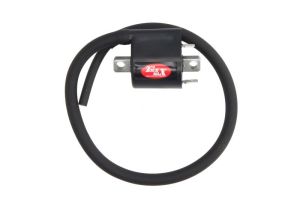 Cewka zapłonowa IGN-303