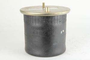 Miech zawieszenia pneumatycznego 4862N1P02 65718