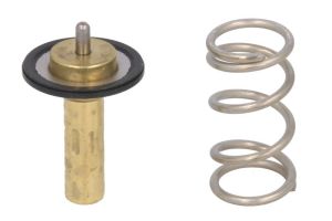 Termostat środka chłodzącego NRF 725069