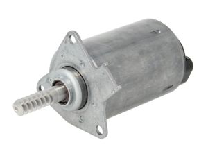 Element ustalający, wałek mimośrodowy (zmienny skok zaworów) A2C59515108
