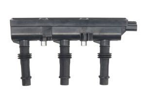 Cewka zapłonowa GN10477-12B1