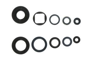 Kompletny zestaw uszczelek silnika P400220400125