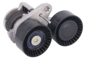 Napinacz paska wieloklinowego DAYAPV2674