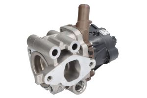 Zawór EGR 7.24809.79.0