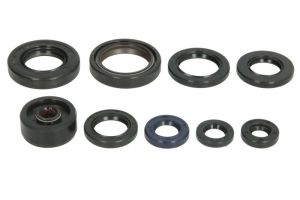 Komplet uszczelniaczy silnika P400485400048