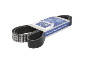 Pasek wieloklinowy 5.41539