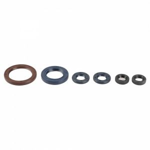 Komplet uszczelniaczy silnika P400270400056