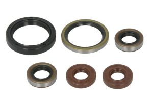 Kompletny zestaw uszczelek silnika P400462400006