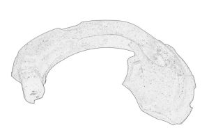 Podkładka sprężyny 5Q0 412 545D