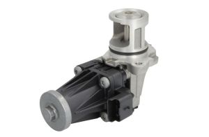 Zawór EGR 7.02209.20.0