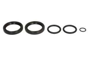 Uszczelniacze olejowe przedniego zawieszenia P400195455730