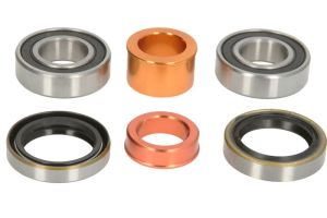 Zestaw łożyska koła PWFWK-T01-321-PB