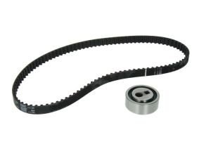 Zestaw paska rozrządu 530 0252 10