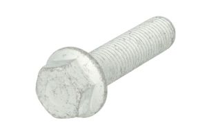 Śruba FE10191