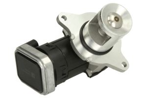 Zawór EGR 7.24809.37.0