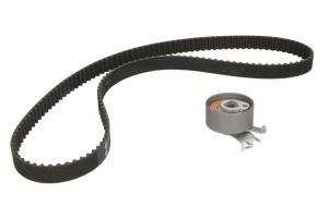 Zestaw paska rozrządu 530 0541 10