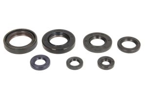 Komplet uszczelniaczy silnika P400485400205