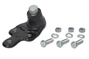 Sworzeń wahacza CTRCB0544L