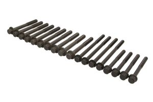 Zestaw śrub głowicy cylindrów AJU81042200