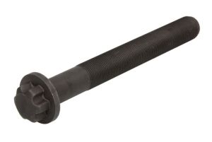 Śruba resora 98810006-S