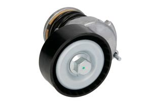 Napinacz paska wieloklinowego E3W0005BTA