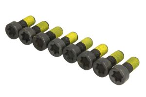 Zestaw śrub koła zamachowego 411 0226 10