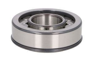 Łożysko mechanizmu różnicowego 722 0737 10