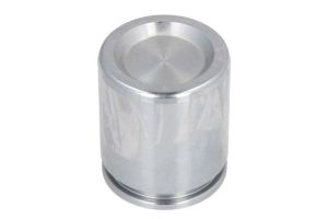 Tłoczek zacisku hamulcowego D0-25685