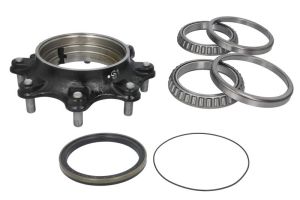 Zestaw naprawczy mechanizmu różnicowego 63263-CR