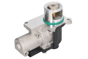 Zawór EGR EGE5-D021           97746