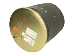 Miech zawieszenia pneumatycznego 4916N1P07 66169