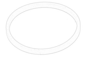 Pierścień uszczelniający A175509-CNH