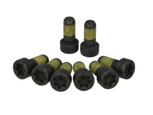 Zestaw śrub koła zamachowego 411 0199 10