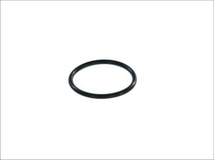 Uszczelka pompy paliwa HP100 576